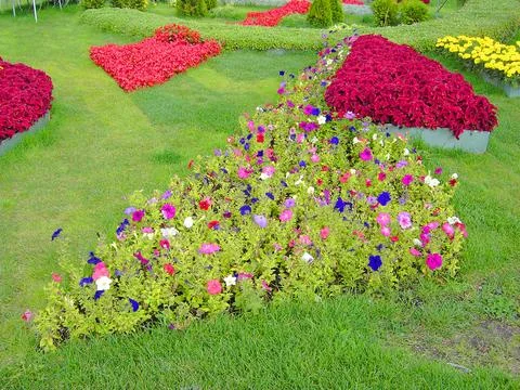 Flowerbed Stock Photos