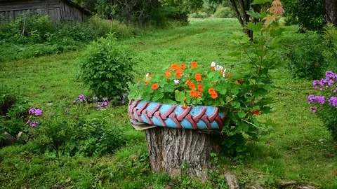 Flowerbed of tires Stock Footage 116023586