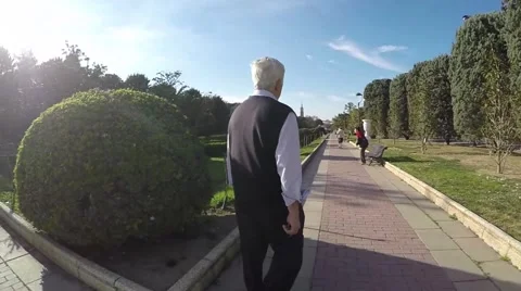 Flowerbeds in the park with patterned bushes tracks and pedestrians 스톡 동영상 47966549