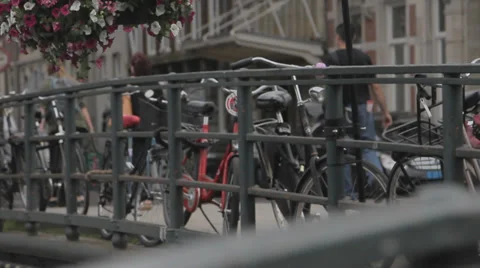 Flowerbeds in the streets of Amsterdam Stock Footage 39752880