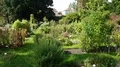 Flowerbeds in sunny botanic garden of Brunswick - Braunschweig 4k 4k or 4k+ Resolution