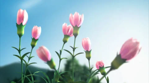 FlowerBloom Stock Footage 37565990