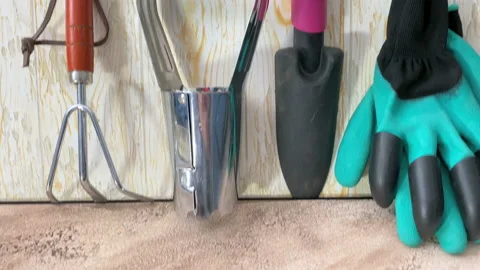 Flowerbulbs and gardening tools Stock Footage 139573458