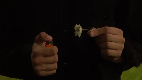 FlowerBurning Video stock 156800891