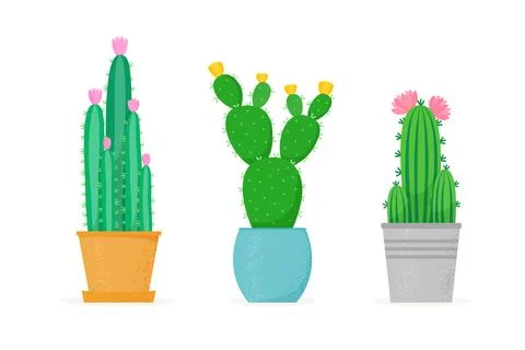Flowered cactus set in a flat style. Different home cacti in pots. Blossomed Illustrazione stock