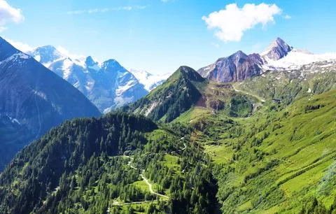Flowered colored meadows from the three stage alpine farming with alpine fa.. Stock Photos