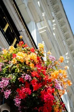 The flowered facade in London Stock Photos