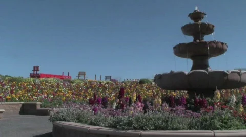 FlowerGardenFountain Stock Footage 662053