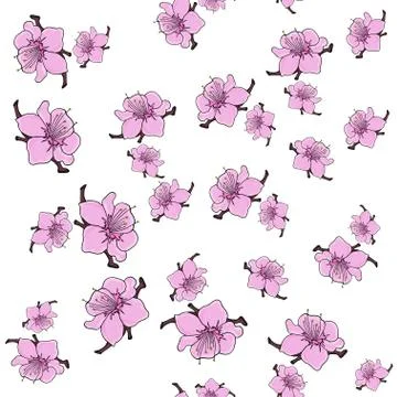 Flowering almonds. Vector seamless pattern with sakura flowers. Spring flower Stock Illustration