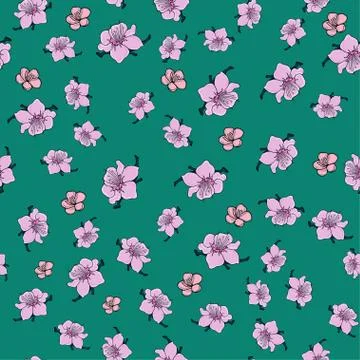 Flowering almonds. Vector seamless pattern with sakura flowers. Spring flower Stock Illustration
