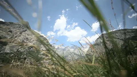 Flowering Alpine grass swaying in the background of Mont Blanc Stock Footage 77436436