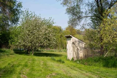 Flowering apple trees and rustic wooden chicken coop Stock Photos