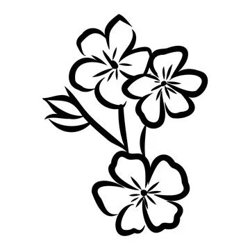 Flowering branch of apple tree. Hand drawing in ink, sketch, outline. Stockillustratie
