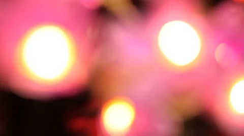 Flowering branch of artificial flowers. Input Vidéo 45422432