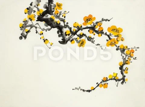 Flowering branch of plum Stock Illustration
