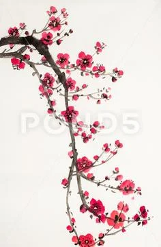 Flowering branch of plum Stock Illustration