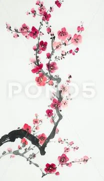 Flowering branch of plum Stock Illustration