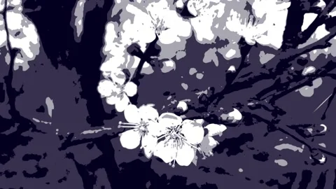 A flowering branch sways in the wind in the rain Stock Footage 239744688