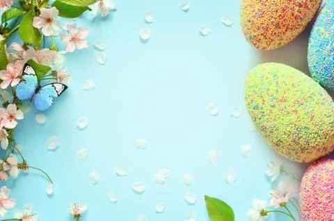 Flowering branches and petals on a blue background. Easter eggs. Foto stock