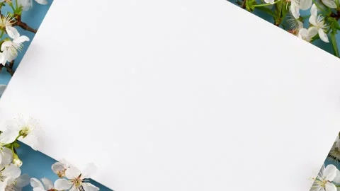 Flowering branches on a pastel background in the studio with a white display in Stock Footage 150377065