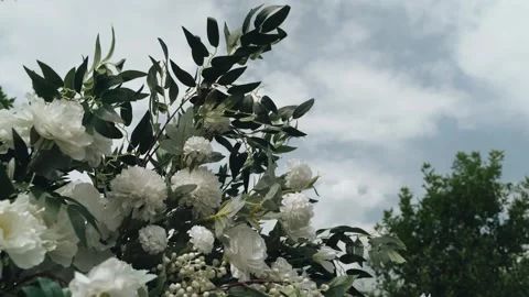 Flowering bush with green leaves develops in the wind. Blossom Stock Footage 250091149