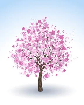 Flowering Cherry Tree Illustrazione stock