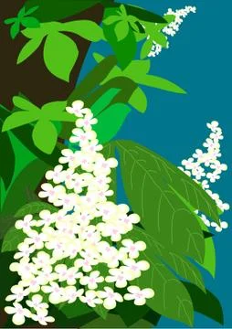 Flowering chestnuts Stock Illustration