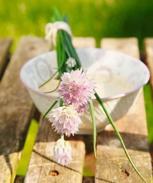 Flowering chives Stock Photos