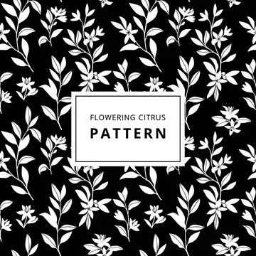 Flowering citrus pattern Stock Illustration