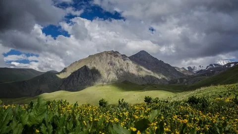 Flowering fields of buttercups among the mountains and floating clouds Stock Footage 78292876