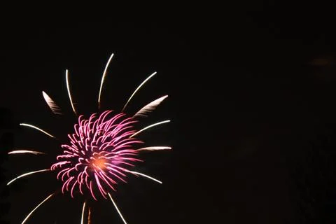 Flowering Firework Stock Photos