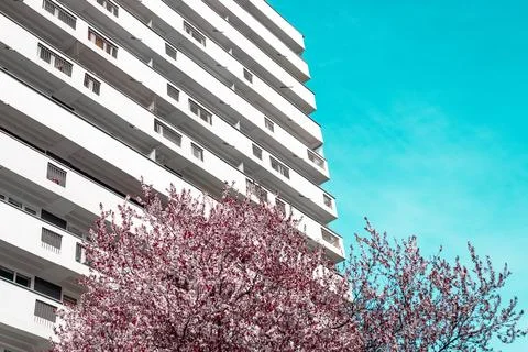 Flowering fruit trees in early spring. In the background, an apartment buil.. Stock Photos