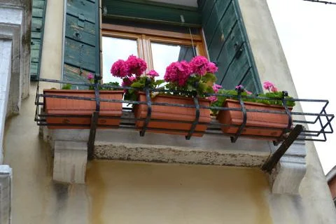 Flowering geranium plastic vases posed in iron holder on ancient balcony. Stock Photos