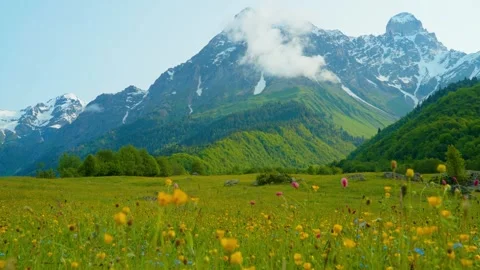 Flowering meadows and snow-capped mountains shrouded in clouds  in the valley Stock Footage 314635151