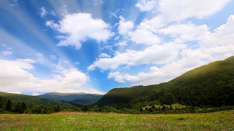 Flowering mountain hills Stock Footage 120348017