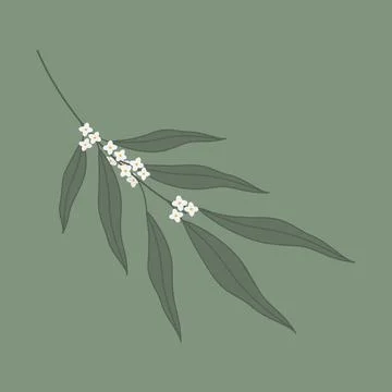 A flowering olive branch Minimalist Flat design for many various uses Stock Illustration