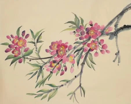 Flowering peach branch Stock Illustration