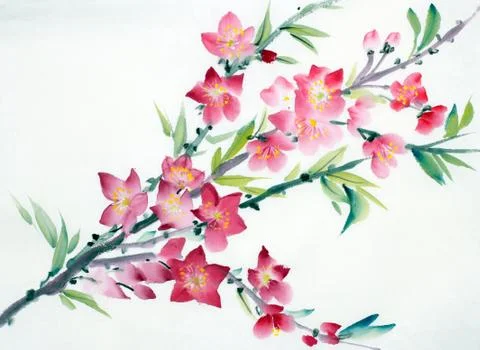Flowering peach branch Stock Illustration