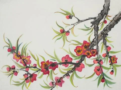 Flowering peach branch Stock Illustration