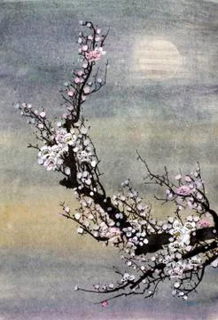 Flowering plum branch Stock Illustration