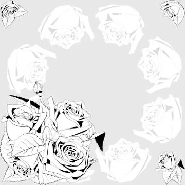 Flowering roses Illustrazione stock