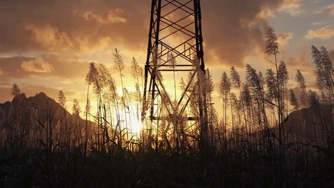 Flowering sugar cane swaying in the wind in front of a tower with the sun Vídeos de archivo 115202103