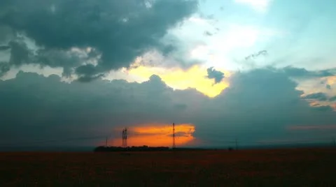 Flowering sunflowers on a background sunset Stock Footage 8895950
