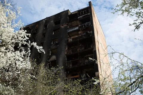 Flowering tree in front of a burned down abandoned house Stock Photos
