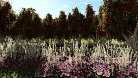 Flowering Tree in Open Field Under Clear Sky Stock Footage 337181293