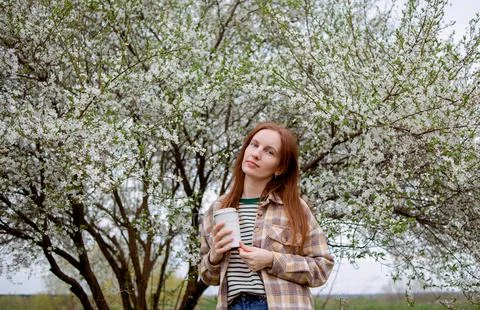 A flowering tree. Spring cherry blossoms. Girl in a shirt with a cup of tea or Stock Photos