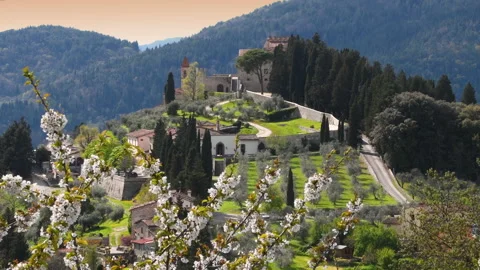 Flowering trees with olive trees and the medieval village of Nipozzano Vídeos de archivo 238753925
