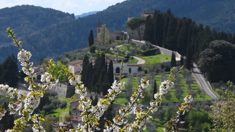 Flowering trees with olive trees and the medieval village of Nipozzano. Italy Stock Footage 241930297