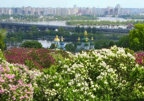 Flowering trees on a spring day. View of Kiev and the Dnieper River Stock Photos