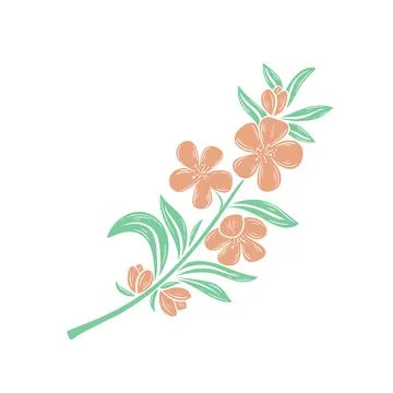 Flowering twig of apple or cherry tree Illustrazione stock